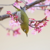 行くぞ！