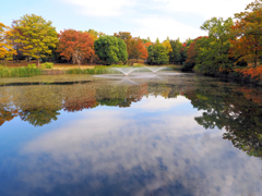 噴水池の紅葉