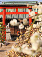 稲荷神社参り