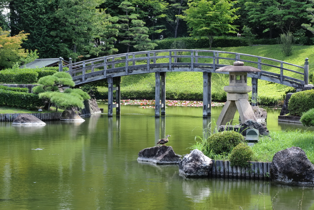 太鼓橋