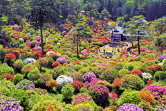 花の寺観音寺