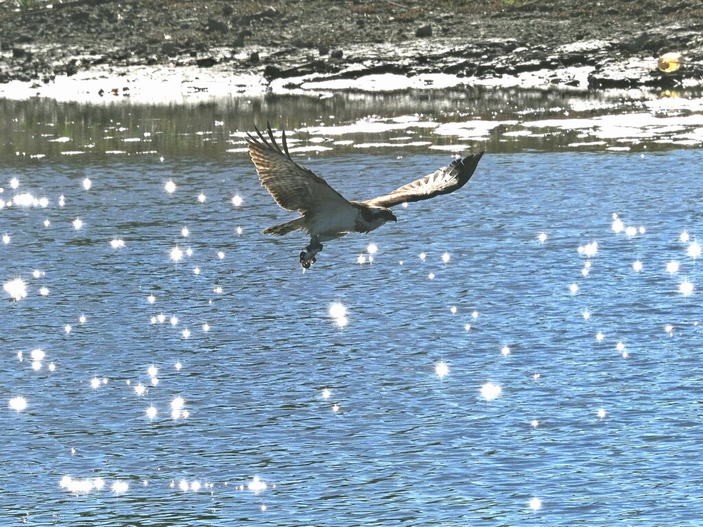 両足でしっかり確保