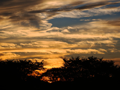 夕焼けを包む雲