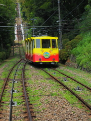 山下る黄色の軌跡