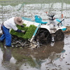 田植え～苗の調整～