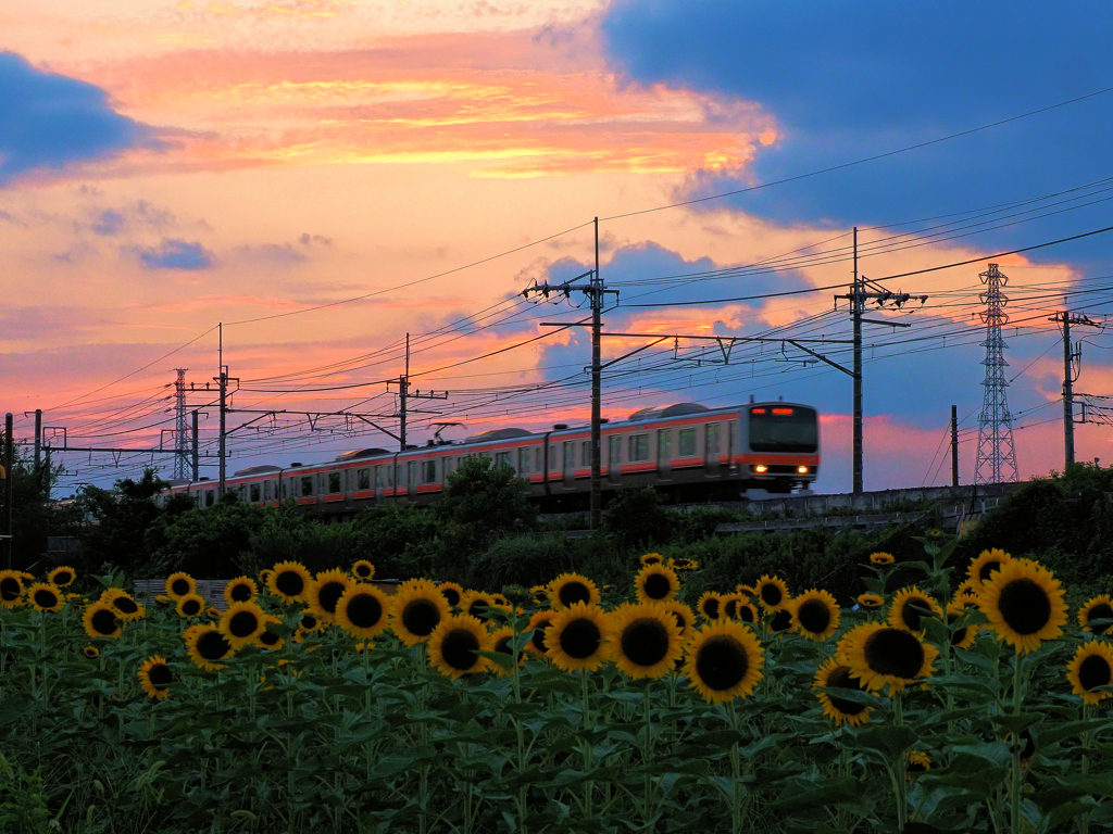 夕焼けの夏景色Ⅱ