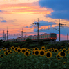 夕焼けの夏景色Ⅱ