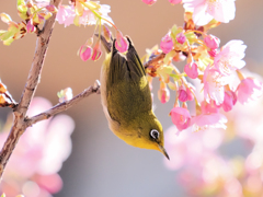 狙いを定めて