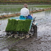 田植え～調子出てきた～