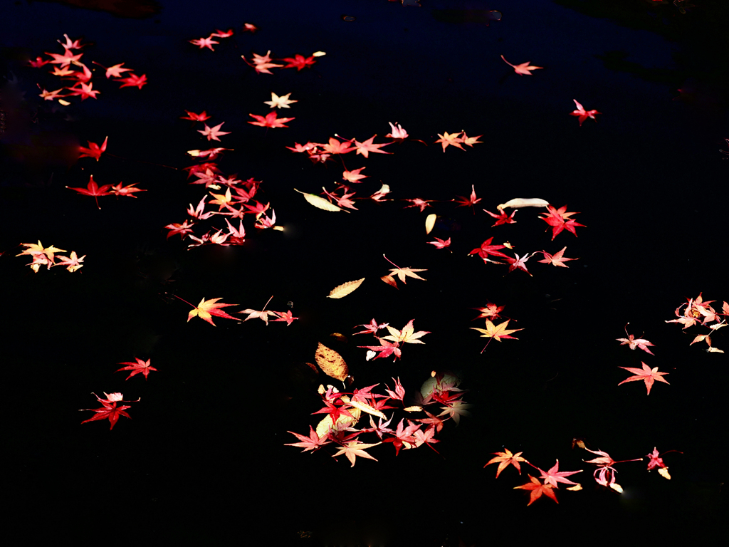 水面の紅葉絵図