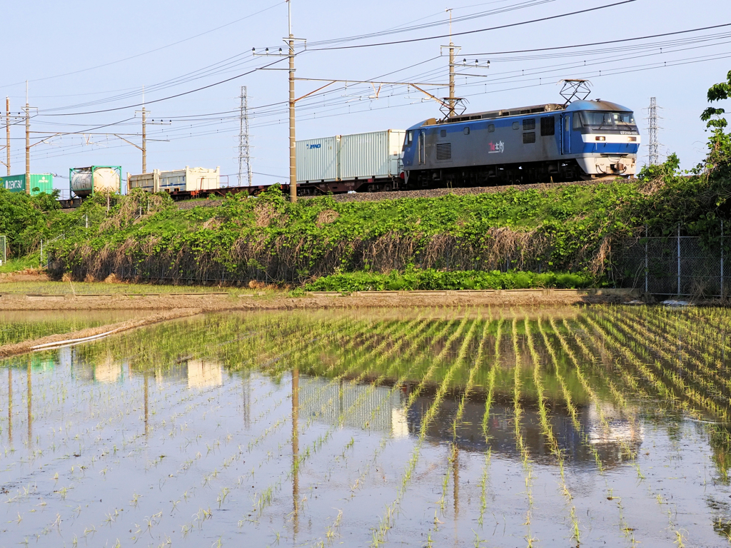 桃太郎通過します
