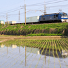 桃太郎通過します