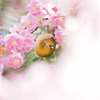 見つけたよ！