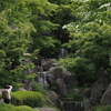 新緑の光景を撮る人