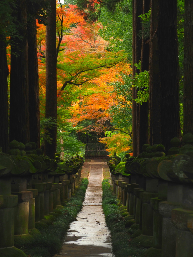 廟所参道の彩り