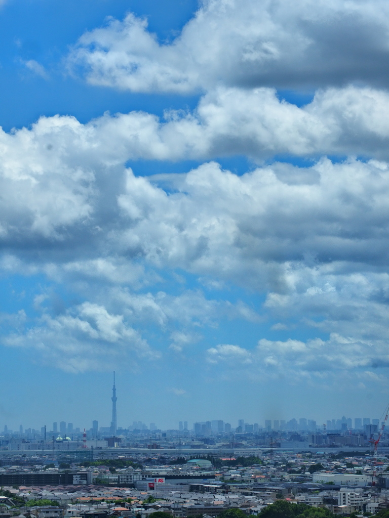夏空にスカイツリー