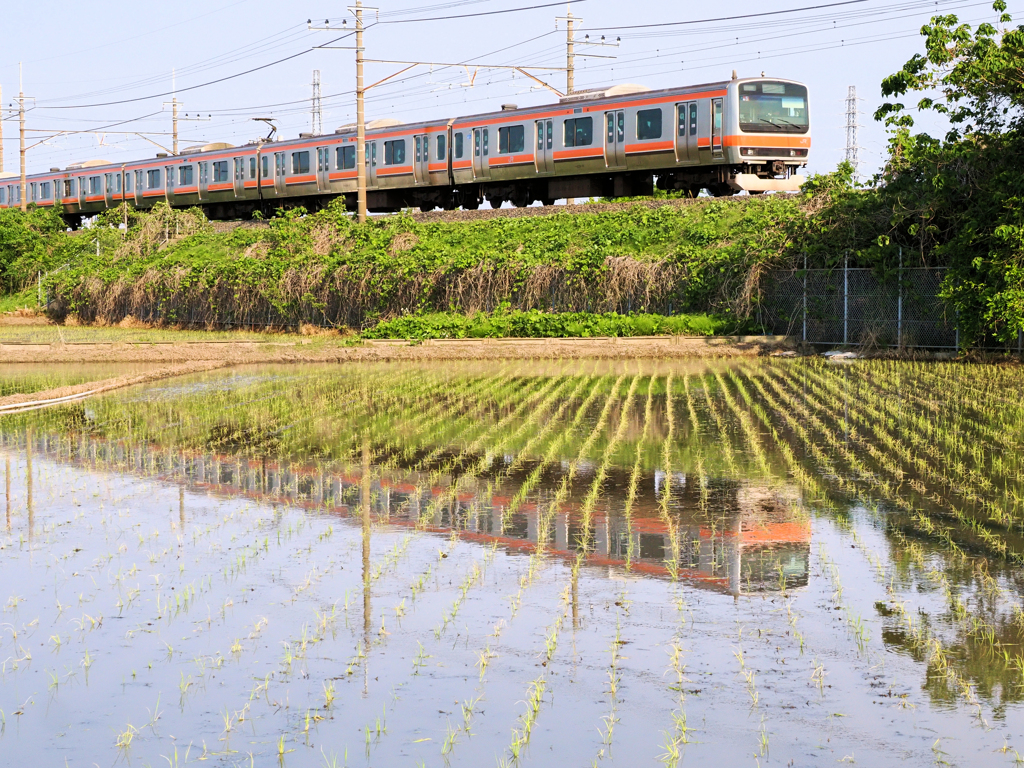 田植えの頃