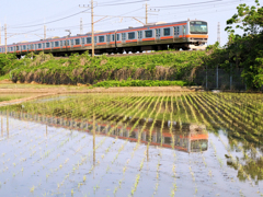 田植えの頃