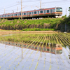 田植えの頃