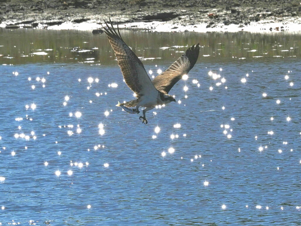 キラキラの中を
