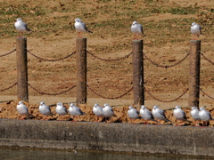 上も下も満席です