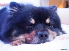 zzz～