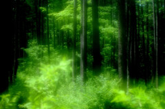 緑の洪水