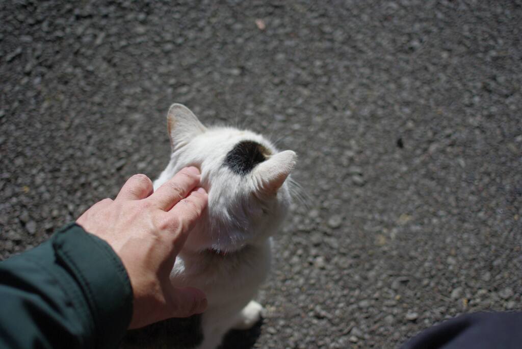 撫でり