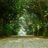 樹叢(じゅそう)の参道