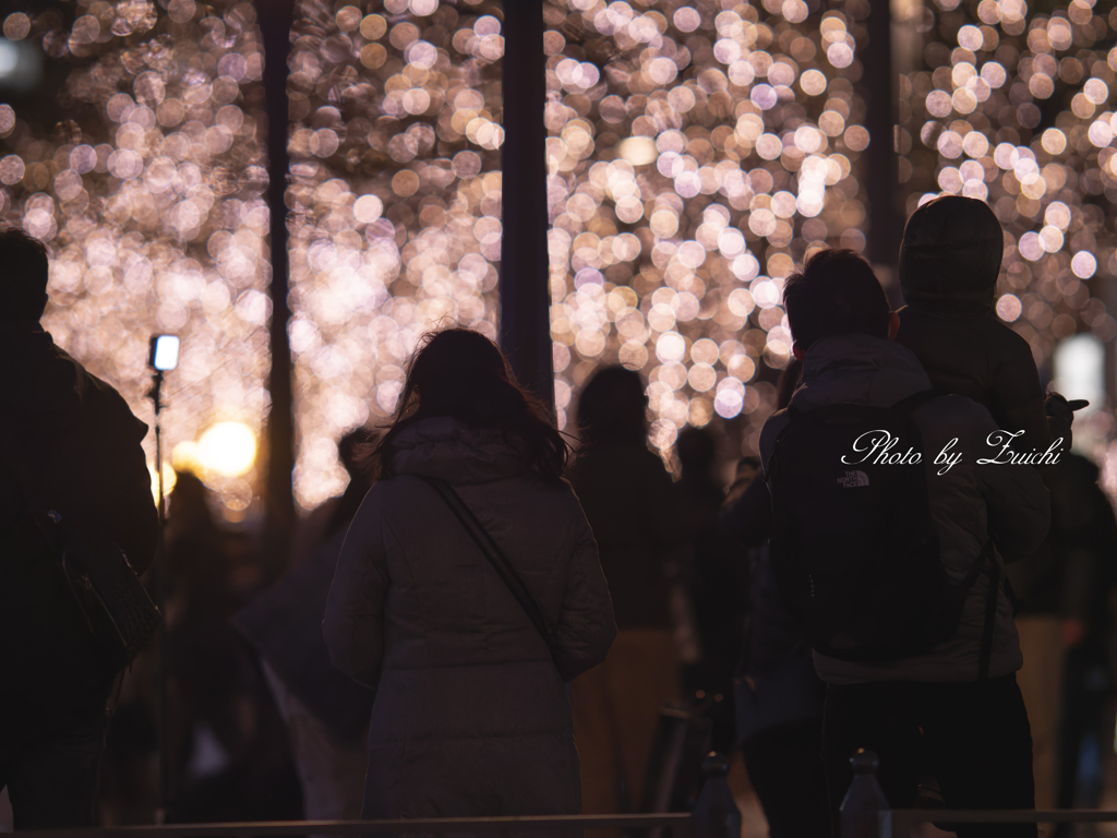 Illuminations night