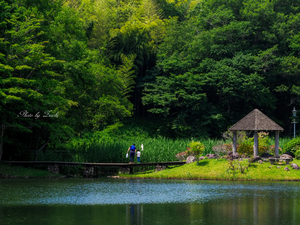 夏は来ぬ