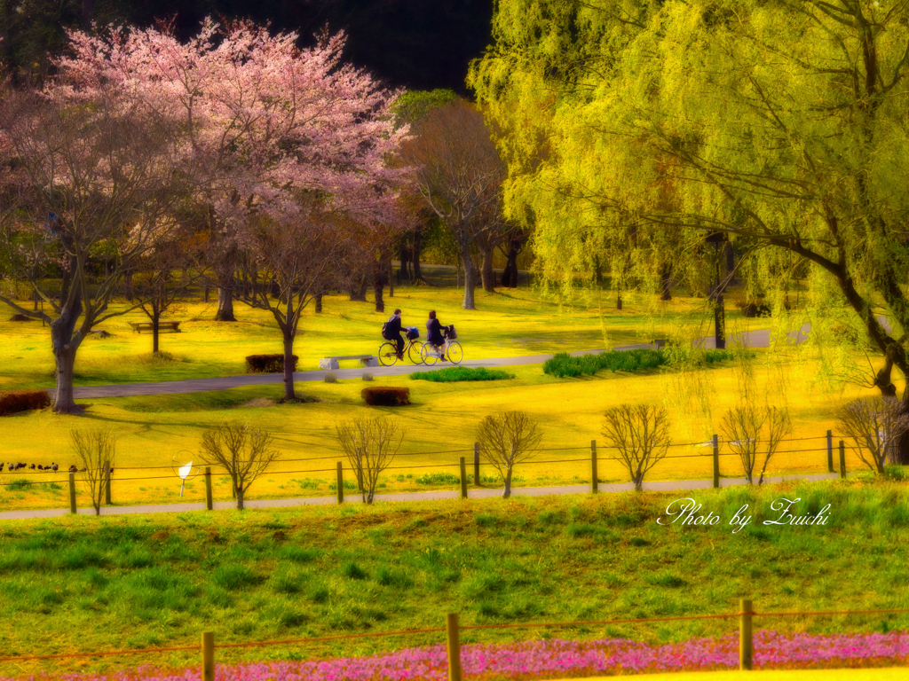 Spring park