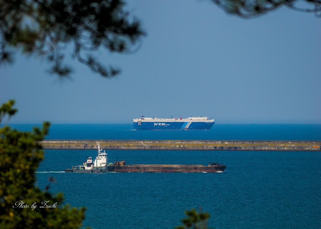 木陰の向うの海