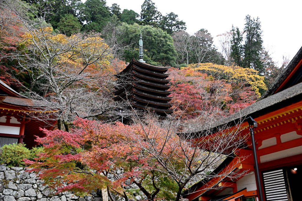 談山神社の秋