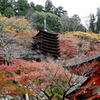 談山神社の秋