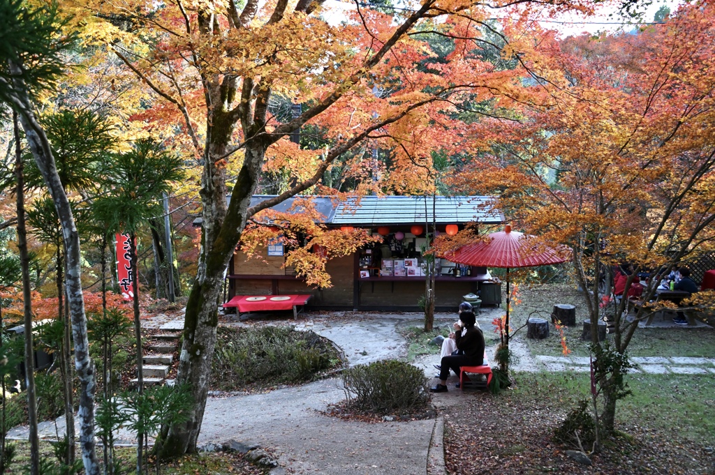 晩秋の神護寺