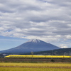 富士山とドクターイエロー