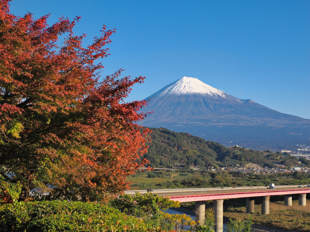 冨士川SA