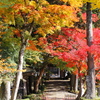 箱根　長安寺　紅葉2025