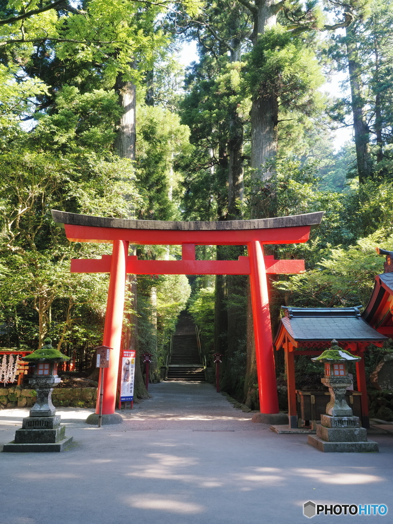 箱根神社へ