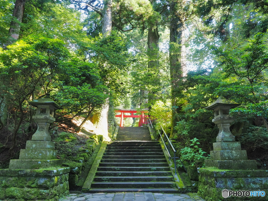 朝の箱根神社