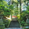 朝の箱根神社
