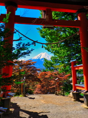 新倉富士浅間神社