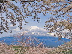 大石寺　2025