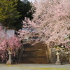 村山浅間神社