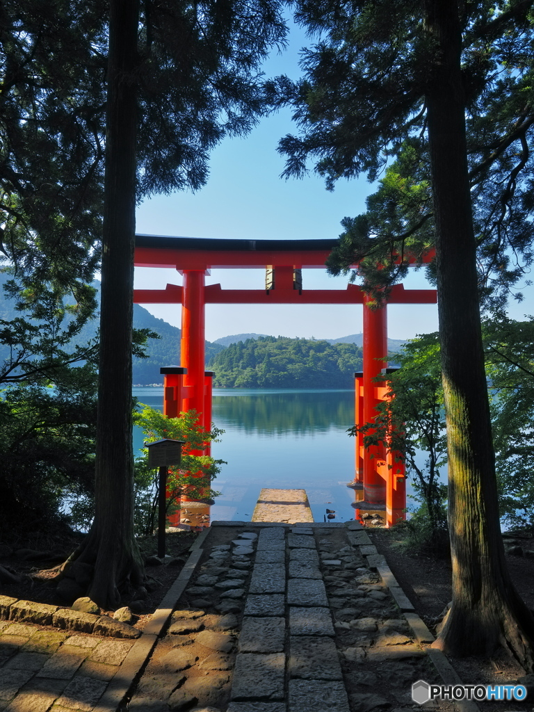 箱根神社 鳥居