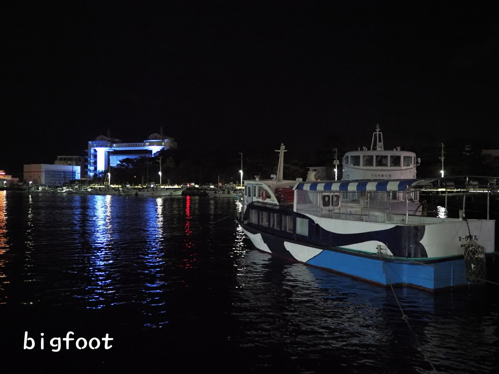 夜の沼津港