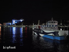 夜の沼津港