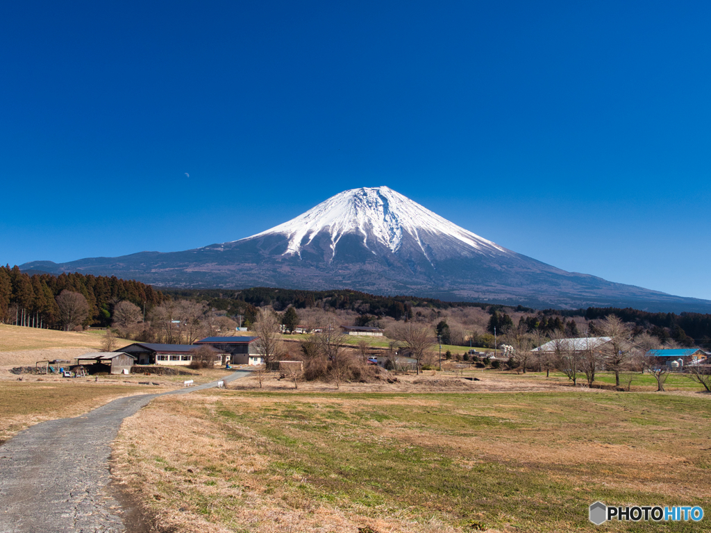 富士山