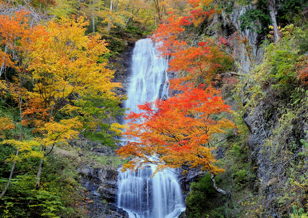 開田高原（唐沢の滝）②